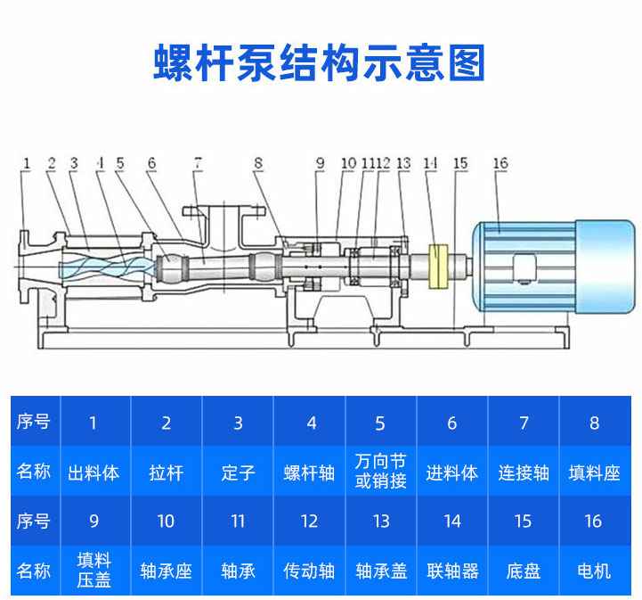 GF型不锈钢千亿体育-中国一站式服务平台结构图纸